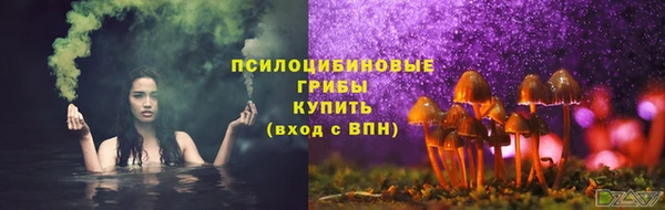 ECSTASY Богданович