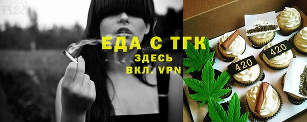 ECSTASY Богданович